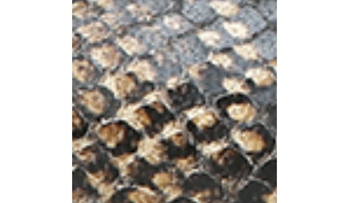 Franco Sarto Sarto Parma 2 Flat Beige Snake Print Leather