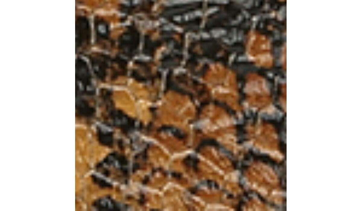 Franco Sarto Franco Marquee Bootie Brown Snake Print Leather