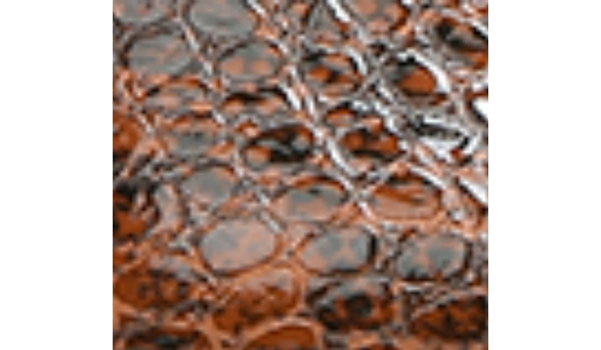 Franco Sarto Franco Ailee Flat Sienna Snake