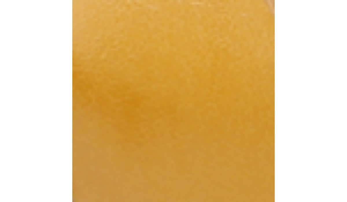 Franco Sarto Franco Daven Gladiator Sandal Goldenrod Faux Leather