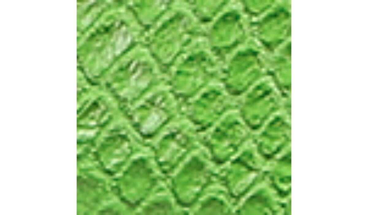 Franco Sarto Franco Glenni Sandal Green Apple Snake Faux Leather