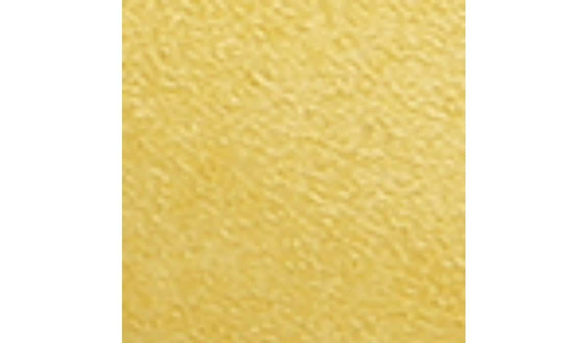 Franco Sarto Franco Racer Slingback Pump Yellow Suede