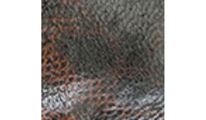 Franco Sarto Sarto Asti Ankle Boot Espresso Snake Print Leather