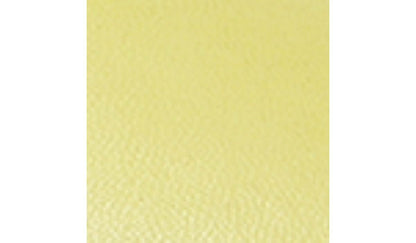 Franco Sarto Sarto Zoe Slide Sandal Limeade Leather